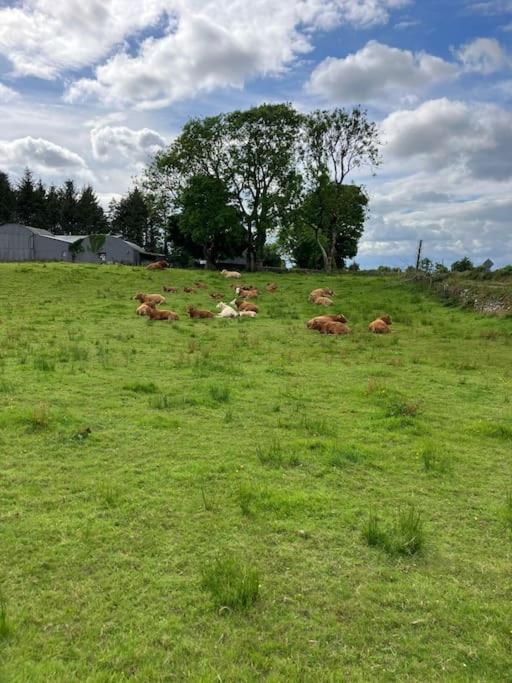 Whitethorn Cottage, Palmfield Ballaghaderreen Екстер'єр фото